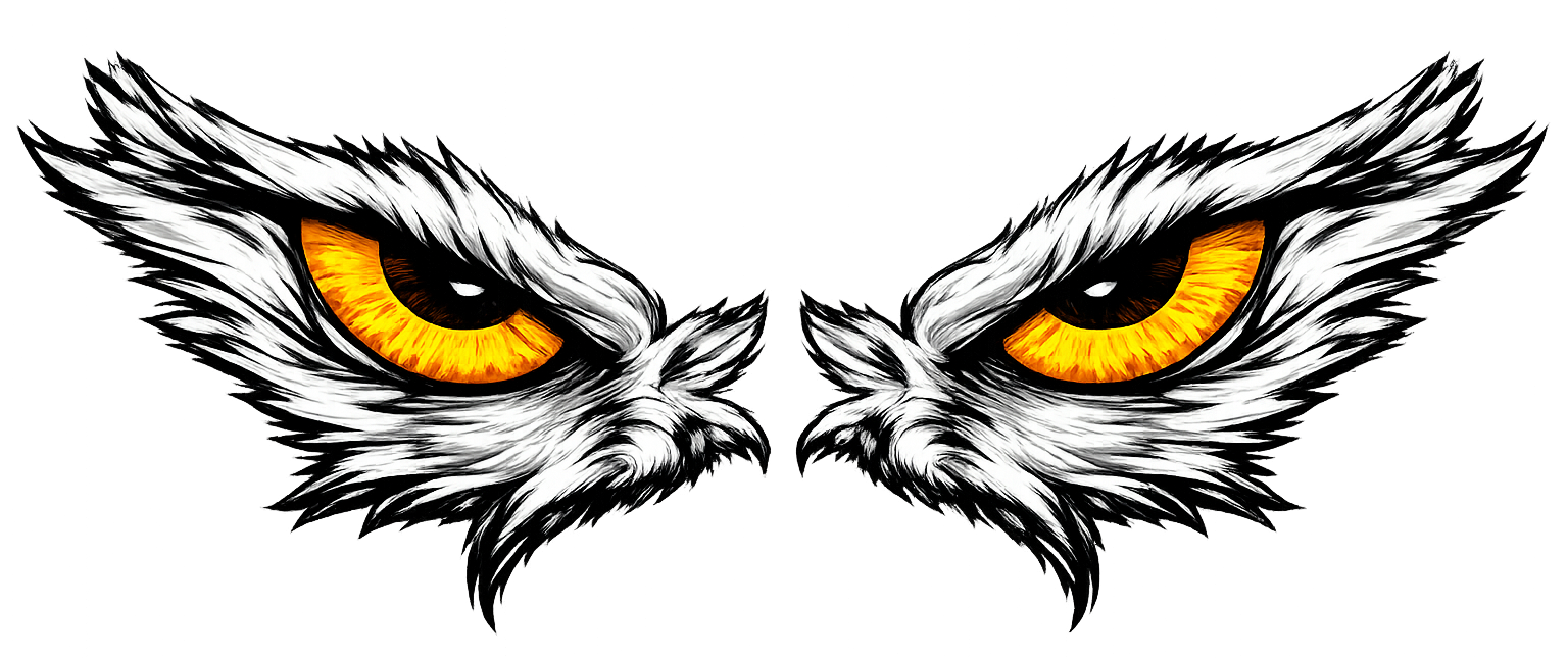 Delmas Valke Logo